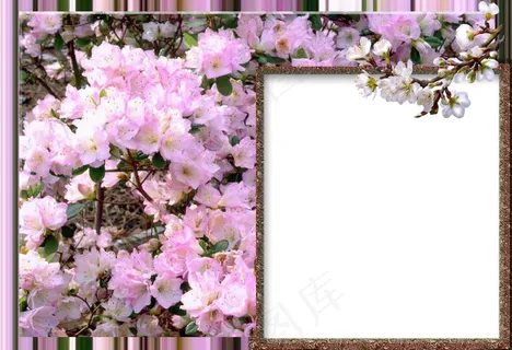 粉色梅花相框图片下载