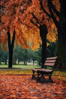 秋意浓公园长椅落叶摄影图