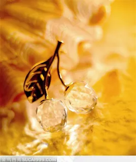 水晶果实 水晶果实