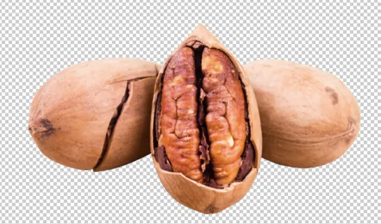 碧根果免扣素材