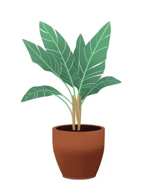 植物盆栽元素插画