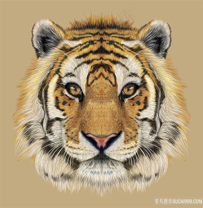 手绘老何素材图片