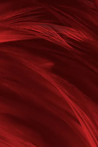 红色庄严海报背景