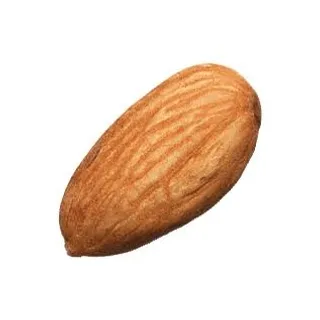 杏仁 PNG免抠