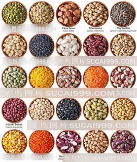 各种食材调料粉末高清图片 各种食材调料粉末高清图片