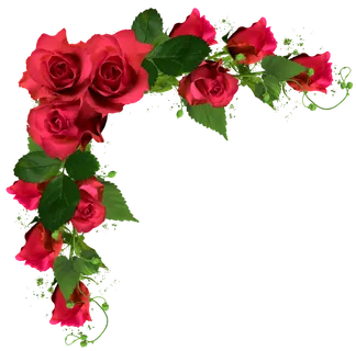 鲜花玫瑰免扣素材