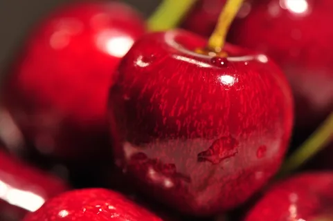 新鲜樱桃高清图片
