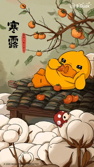 B.Duck插画-寒露