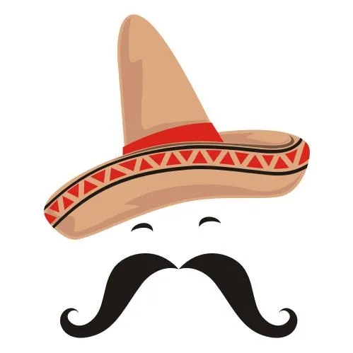 宽边帽 PNG免抠(499x499)