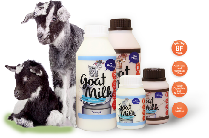 牛乳牛奶饮品素材现代农业