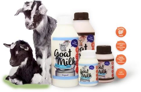 牛乳牛奶饮品素材现代农业