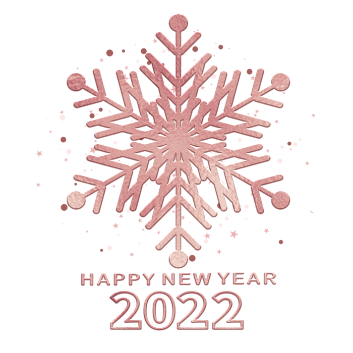2022新年艺术创意字体虎年3D立体标题数字文字png免抠字素材