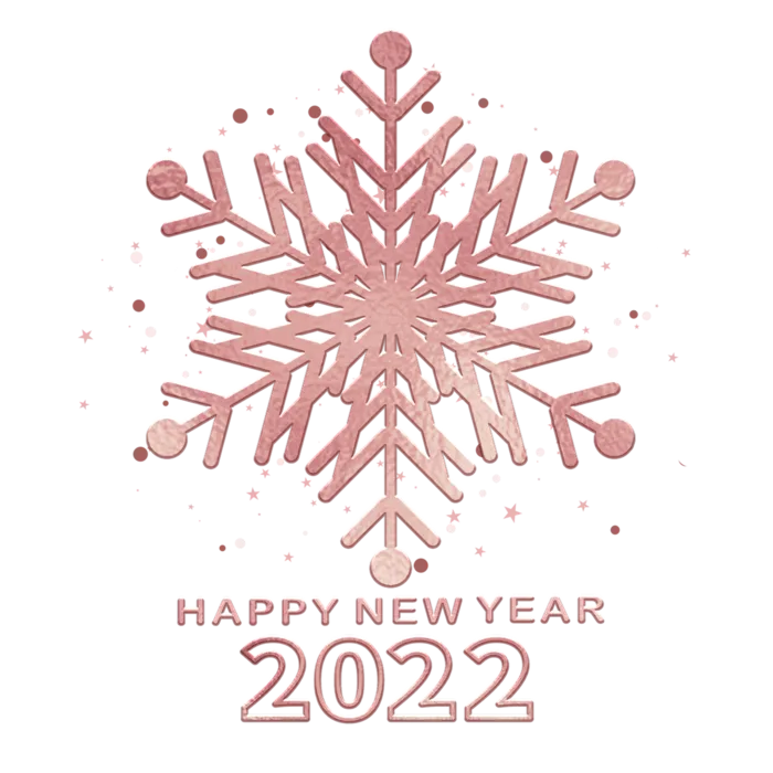 2022新年艺术创意字体虎年3D立体标题数字文字png免抠字素材
