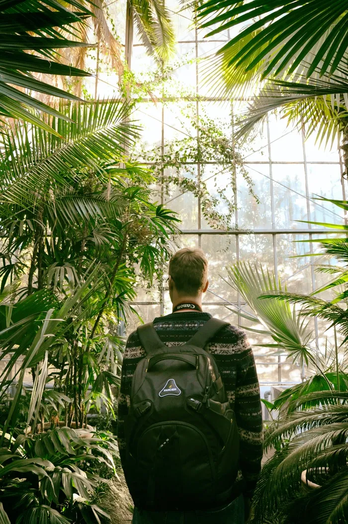 玻璃花房帅哥背影图片