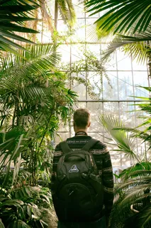 玻璃花房帅哥背影图片