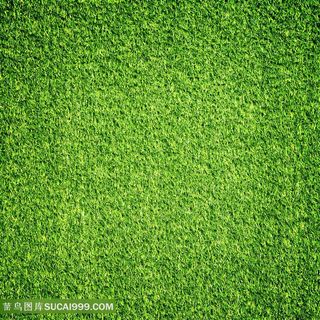 草地草坪景色高清图片