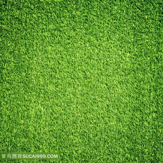 草地草坪景色高清图片