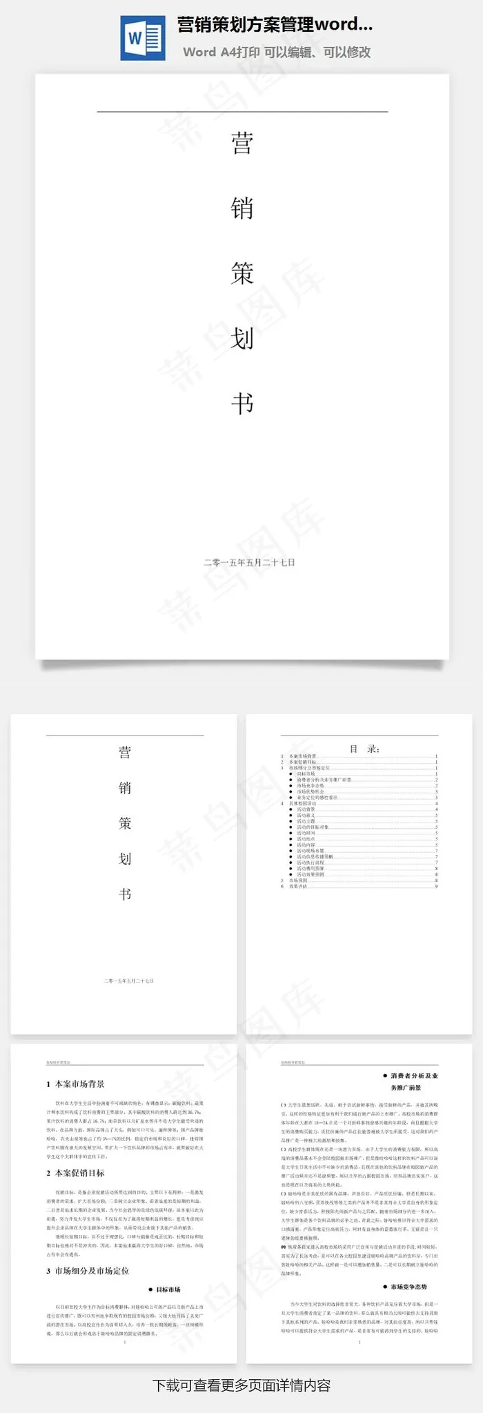 营销策划方案管理word文档