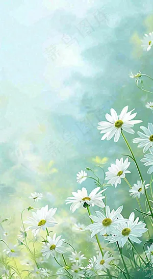 绿色清新野菊花特写春夏花朵摄影图