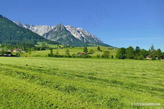 蓝天山脚下美丽的草原绿草地风景图片