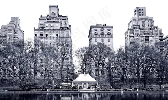 黑白的高楼