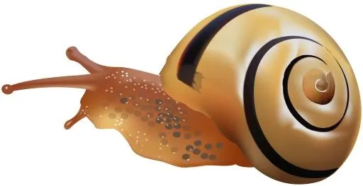 蜗牛 PNG免抠(8000x4118)
