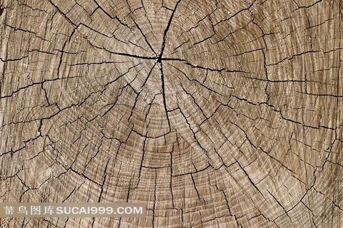 年轮木纹素材