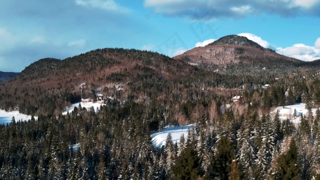冬天, 树, 雪, 景观, 自然, 白色的, 寒冷的