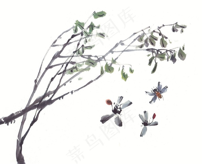 昆虫花草设计素材