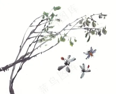 昆虫花草设计素材