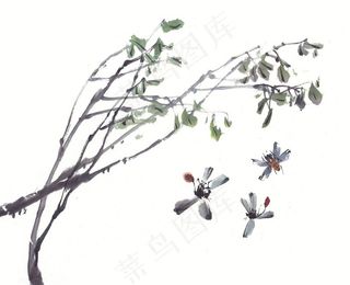 昆虫花草设计素材