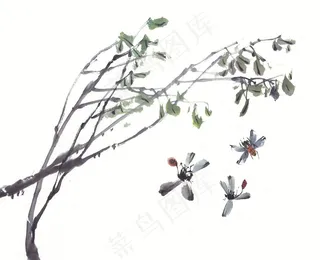 昆虫花草设计素材