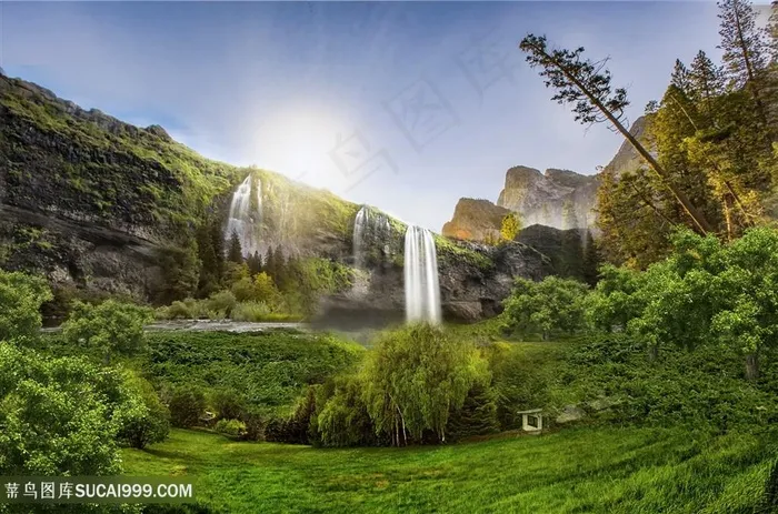 高清梦幻森林风景图片