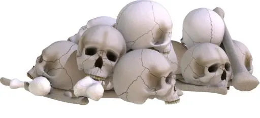 颅骨免抠(900x411)