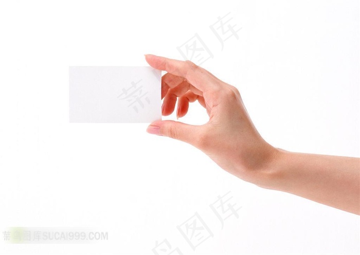 手部姿势 手拿名片动作特写