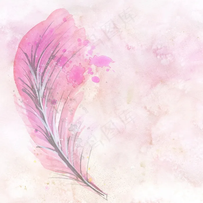 粉色水彩羽毛图片