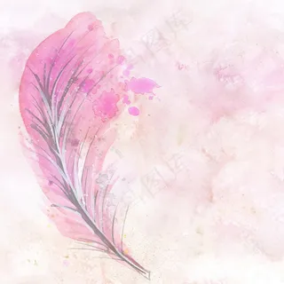 粉色水彩羽毛图片