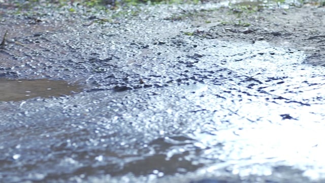 靴子, 鞋, 水坑, 走, 步行, 橡胶靴, 黄色, 农村