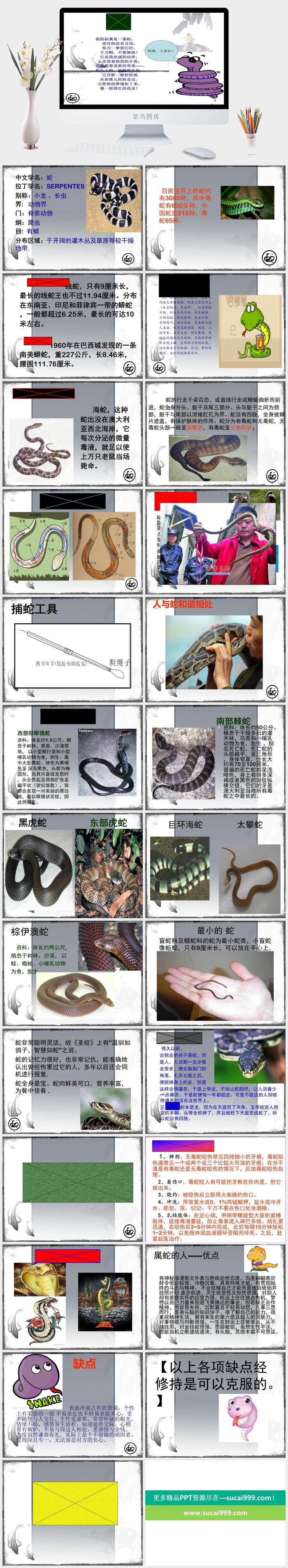 蛇绘本故事PPT模板