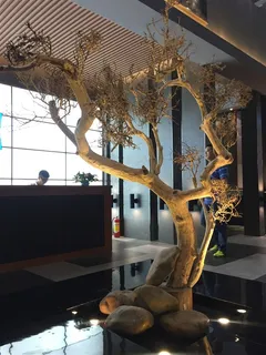 展会摆设枯木 展会摆设枯木