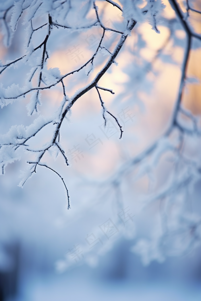 冬季阳光下的雪景雾凇树枝摄影图(2688x4032)