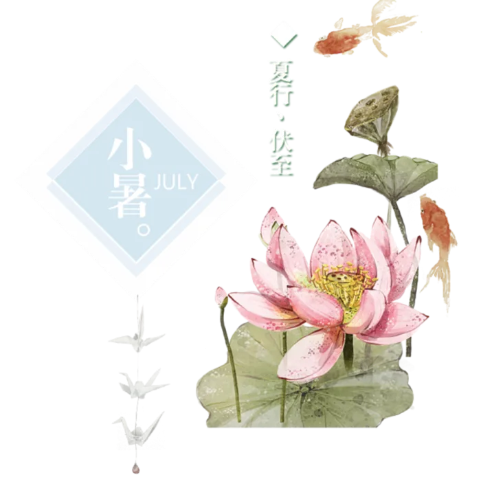 24节气小暑