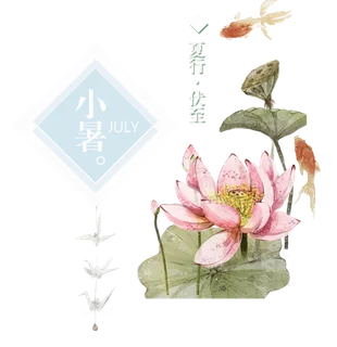 24节气小暑 24节气小暑