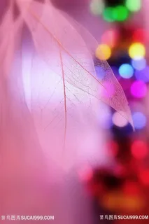 高清唯美霓虹灯树叶摄影图片