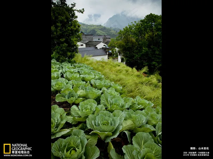 风景如画一