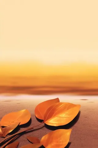 落叶棕黄色大气背景