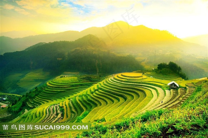 江南绿野田园风景图片素材