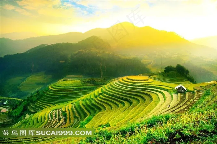 江南绿野田园风景图片素材