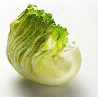 新鲜生菜图片下载