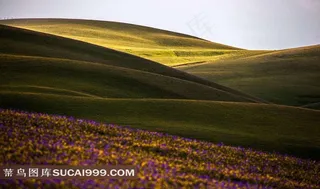 新疆伊犁阔克角塔风景摄影素材